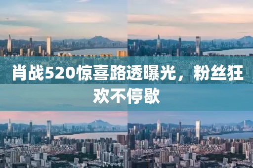 银尔云 第11页