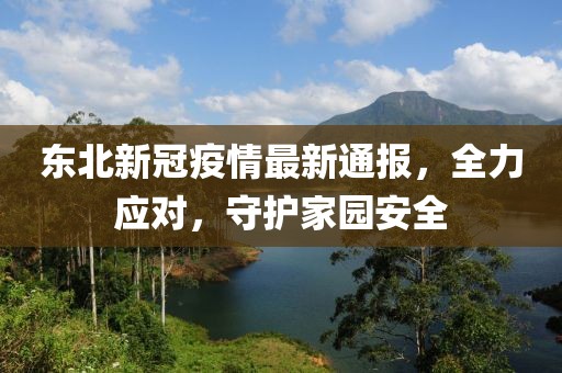 东北新冠疫情最新通报，全力应对，守护家园安全