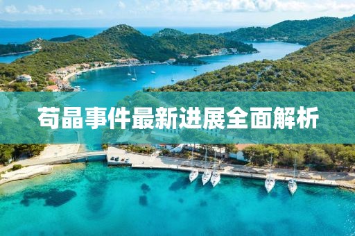 苟晶事件最新进展全面解析