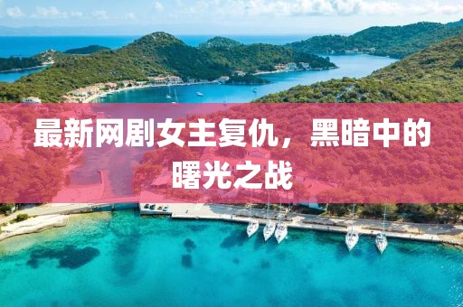 最新网剧女主复仇，黑暗中的曙光之战