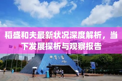 稻盛和夫最新状况深度解析，当下发展探析与观察报告