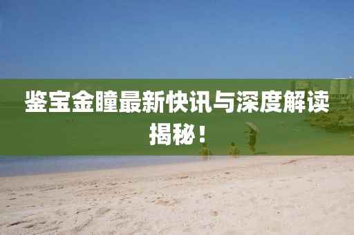 鉴宝金瞳最新快讯与深度解读揭秘！
