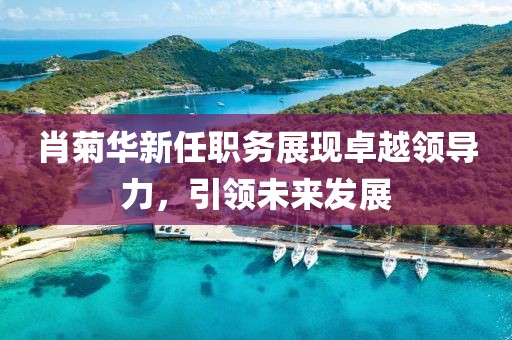 肖菊华新任职务展现卓越领导力，引领未来发展