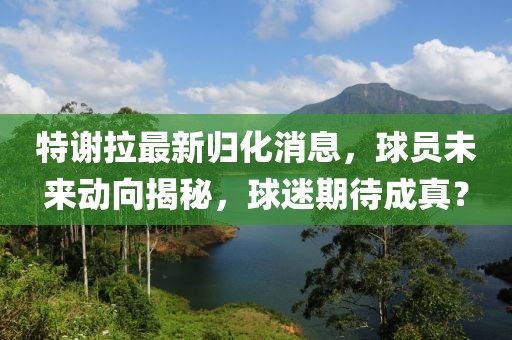 特谢拉最新归化消息，球员未来动向揭秘，球迷期待成真？