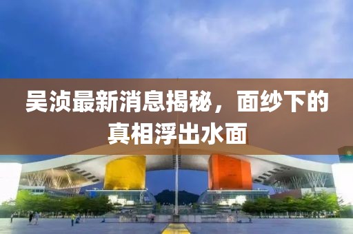 吴浈最新消息揭秘，面纱下的真相浮出水面