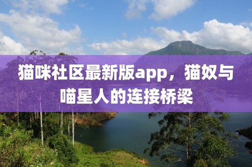 猫咪社区最新版app，猫奴与喵星人的连接桥梁