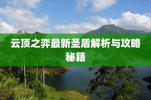 云顶之弈最新圣盾解析与攻略秘籍