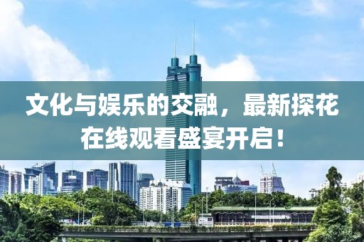 文化与娱乐的交融，最新探花在线观看盛宴开启！