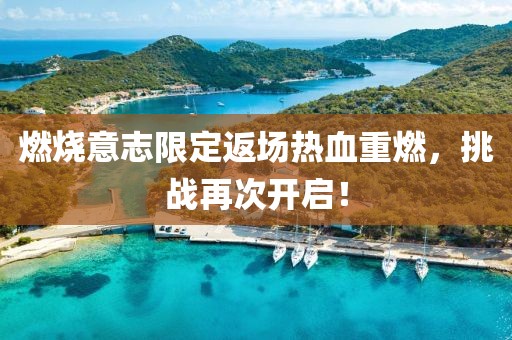 嘉韶丽 第11页