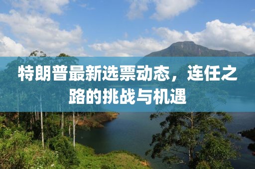特朗普最新选票动态，连任之路的挑战与机遇