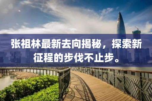 张祖林最新去向揭秘，探索新征程的步伐不止步。