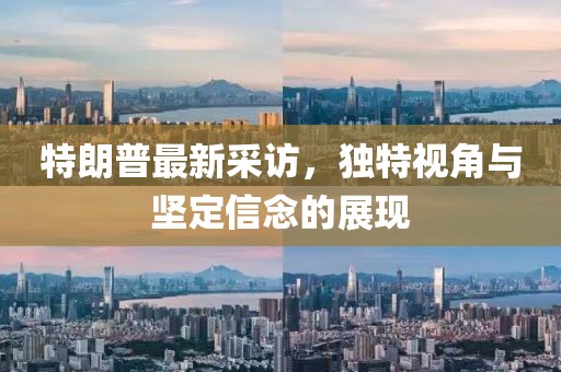 特朗普最新采访，独特视角与坚定信念的展现