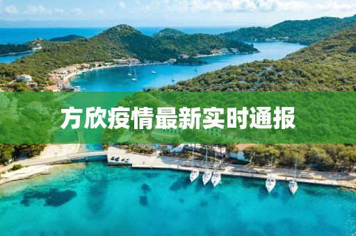 方欣疫情最新实时通报