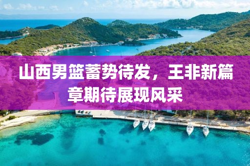 山西男篮蓄势待发，王非新篇章期待展现风采