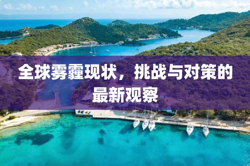 全球雾霾现状，挑战与对策的最新观察