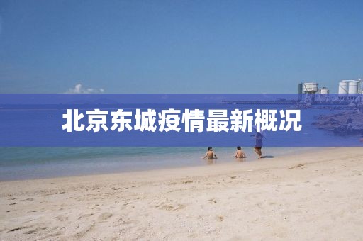 北京东城疫情最新概况