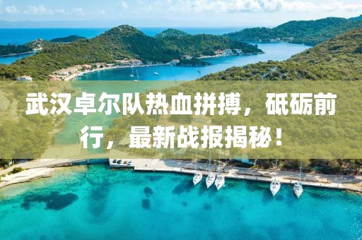 武汉卓尔队热血拼搏，砥砺前行，最新战报揭秘！