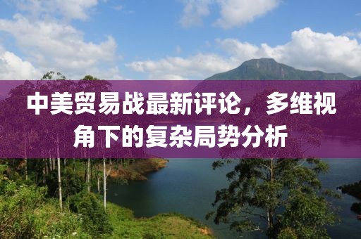 中美贸易战最新评论，多维视角下的复杂局势分析