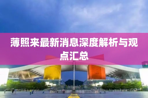 薄照来最新消息深度解析与观点汇总