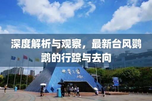 深度解析与观察，最新台风鹦鹉的行踪与去向