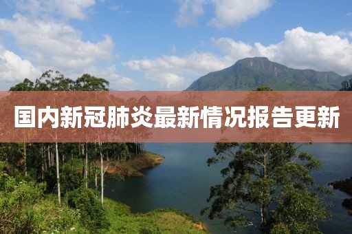 国内新冠肺炎最新情况报告更新