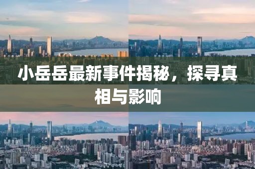 小岳岳最新事件揭秘，探寻真相与影响