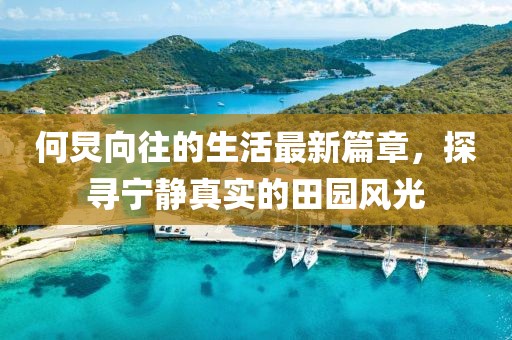 何炅向往的生活最新篇章，探寻宁静真实的田园风光