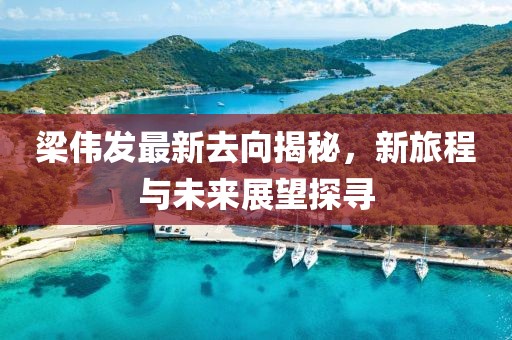 梁伟发最新去向揭秘，新旅程与未来展望探寻