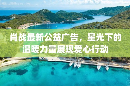肖战最新公益广告，星光下的温暖力量展现爱心行动