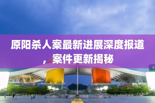原阳杀人案最新进展深度报道，案件更新揭秘