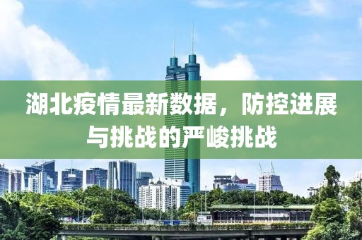 湖北疫情最新数据，防控进展与挑战的严峻挑战