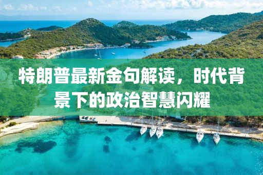 特朗普最新金句解读，时代背景下的政治智慧闪耀
