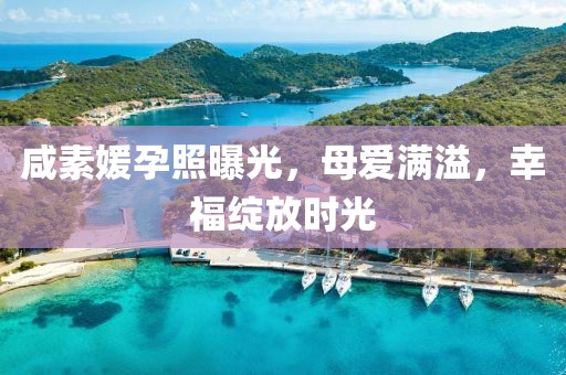 咸素媛孕照曝光，母爱满溢，幸福绽放时光