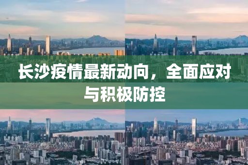 长沙疫情最新动向，全面应对与积极防控