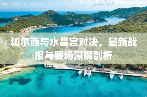 切尔西与水晶宫对决，最新战报与赛场深度剖析