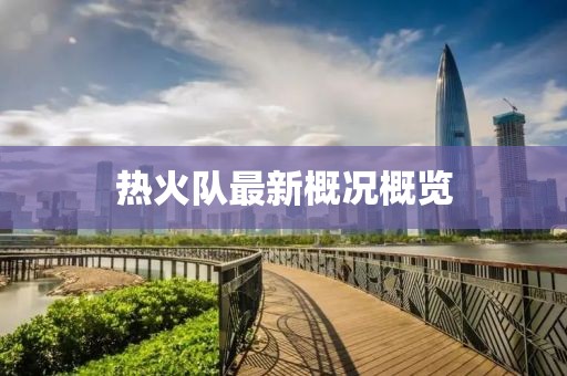 热火队最新概况概览