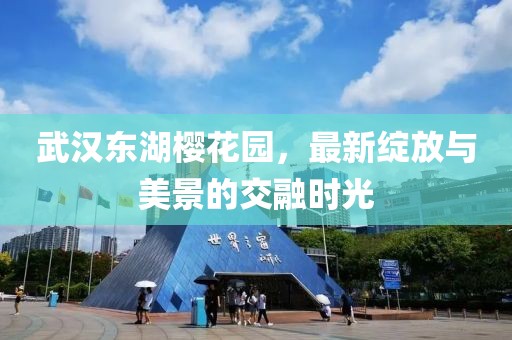 武汉东湖樱花园，最新绽放与美景的交融时光
