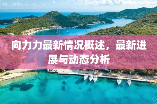向力力最新情况概述，最新进展与动态分析