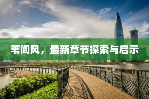 苇间风，最新章节探索与启示