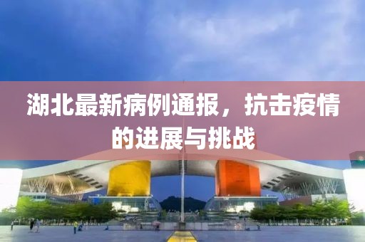 湖北最新病例通报，抗击疫情的进展与挑战