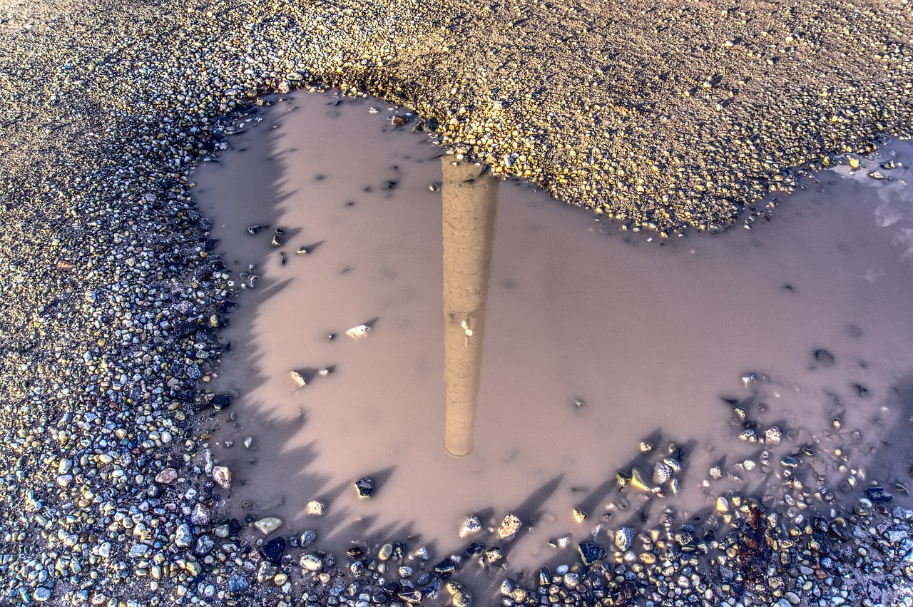 凯迪最新动态，迈向未来的革新步伐与道路
