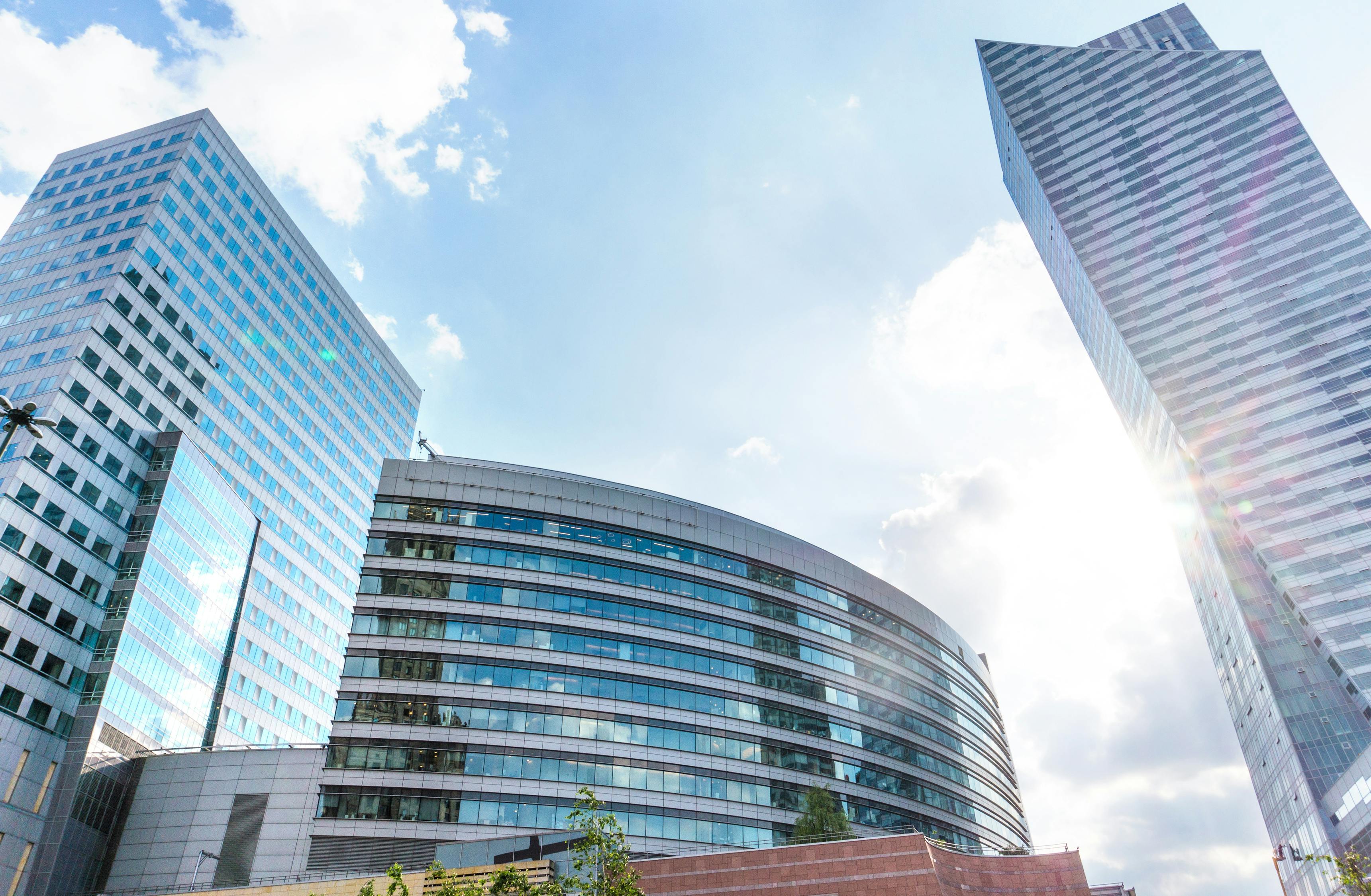 新市府板块学校规划出炉，塑造未来教育新蓝图