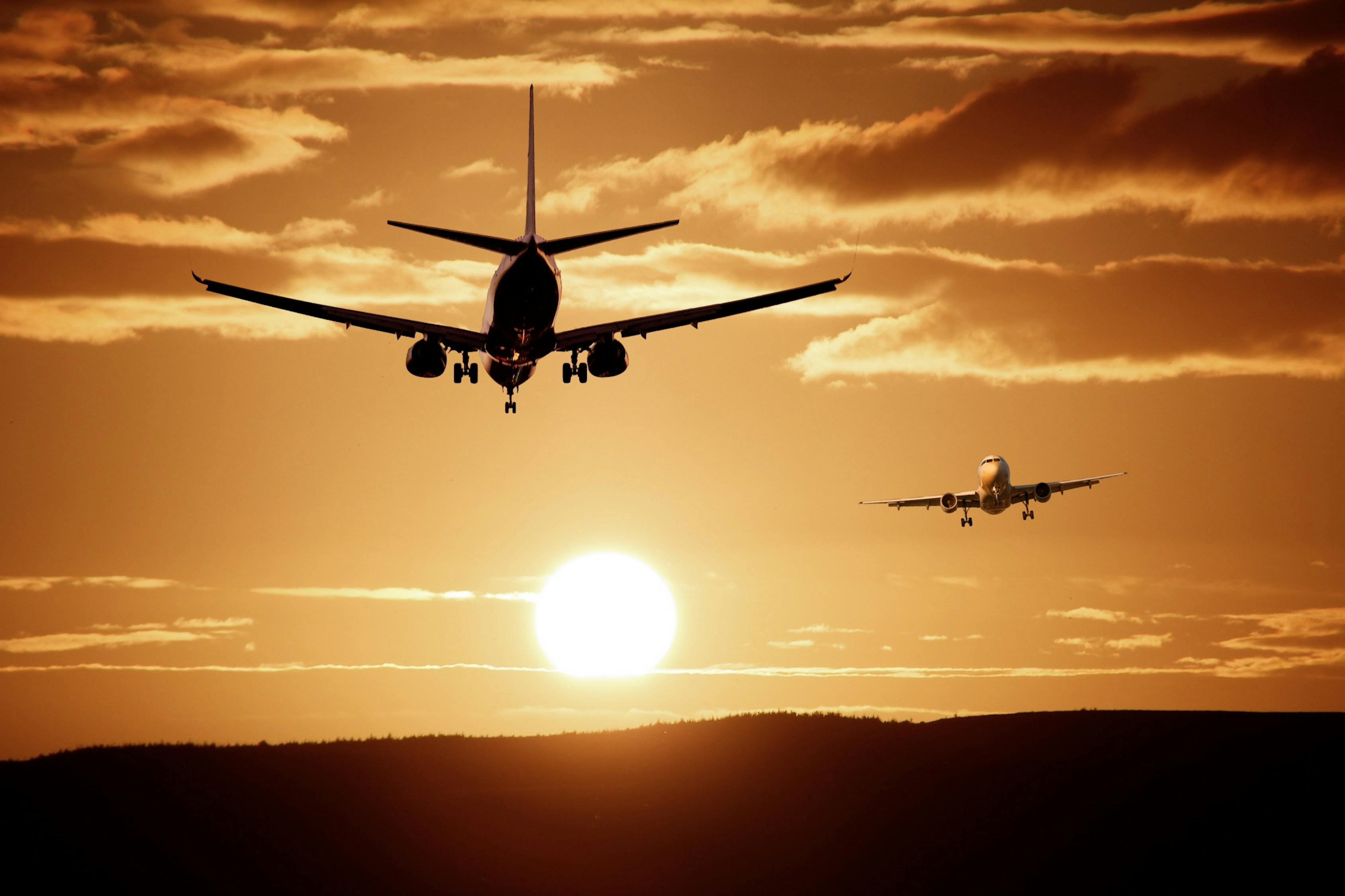 梦鹿最新地址探索与发现之旅