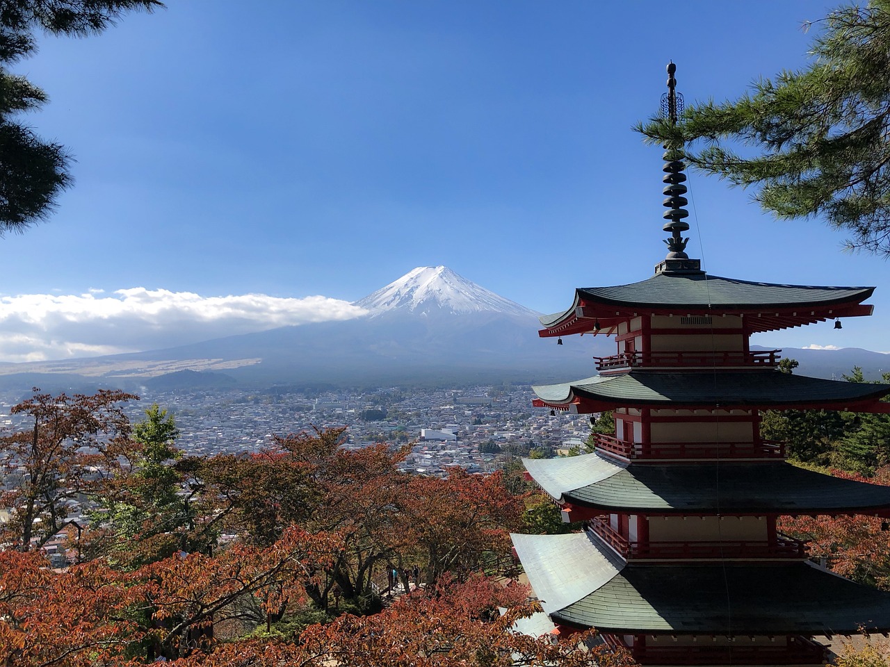 公园山最新动态更新