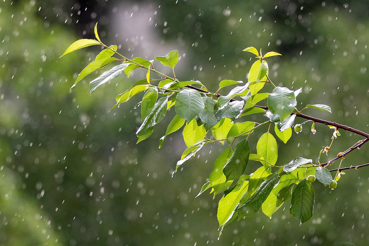 四川暴雨预警发布，应对暴雨天气的挑战策略