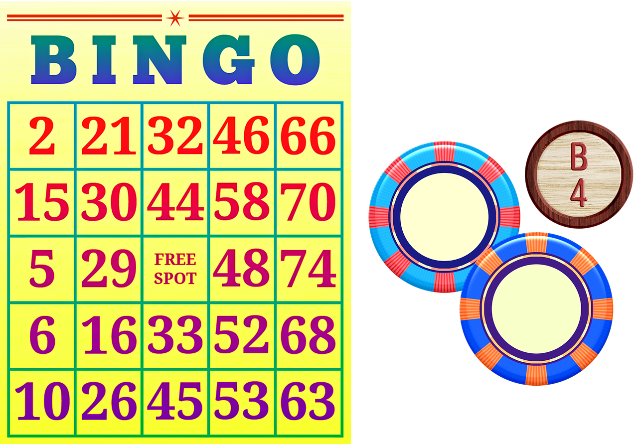 金七乐最新开奖结果揭秘，数字世界的惊喜与机遇