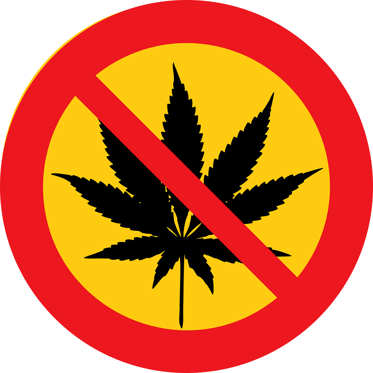 美国暴力事件最新动态与社会现象深度剖析