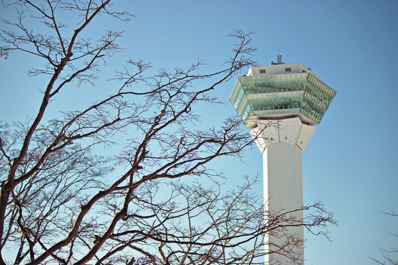 2024年11月 第6页