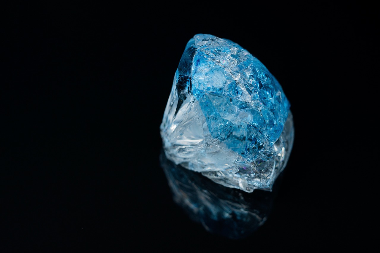 金鹰女神最新动态，璀璨星光闪耀舞台