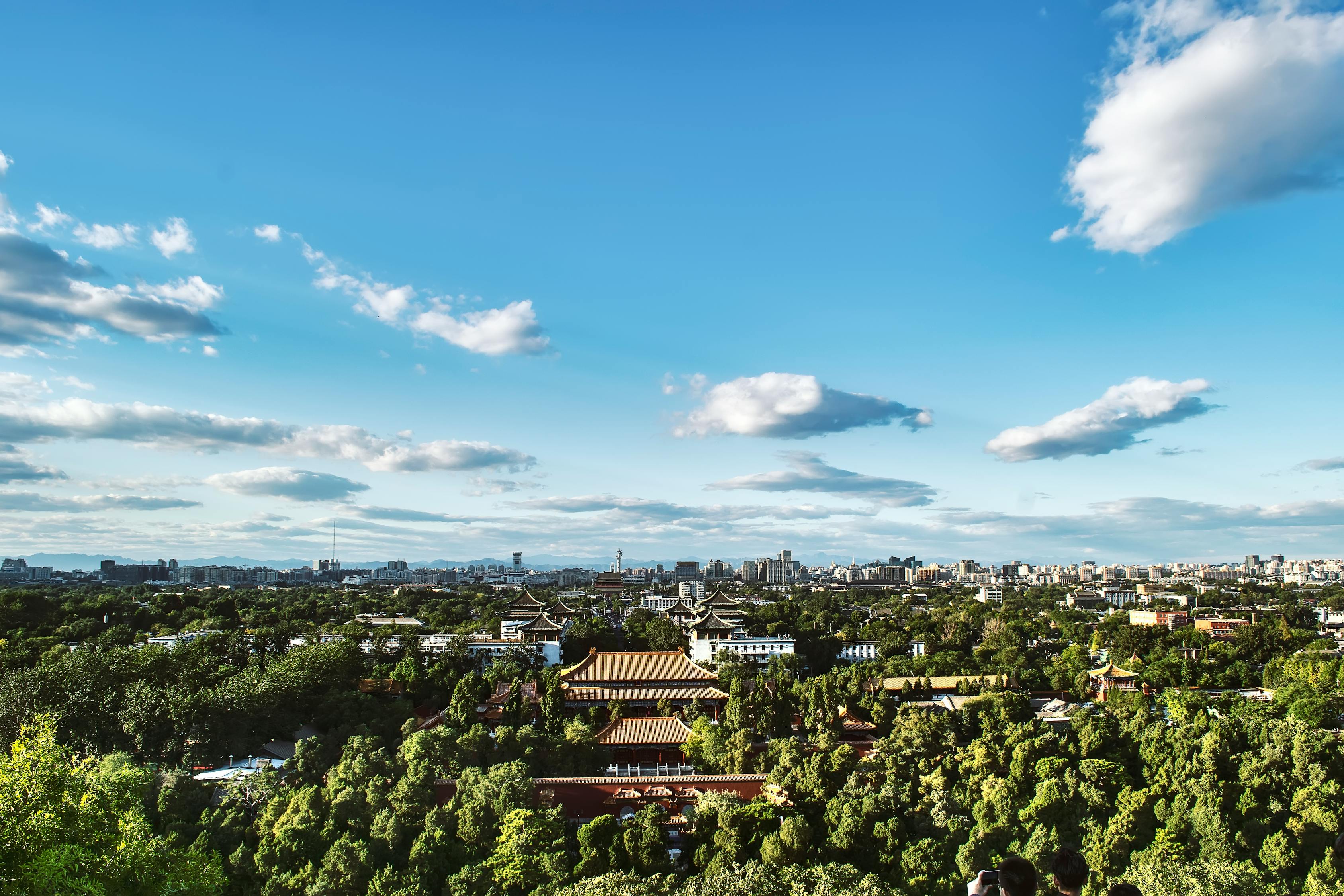 市中区最新动态，城市发展与民生改善同步前行